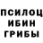 Псилоцибиновые грибы ЛСД Belka Bulkovich