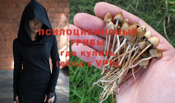 соль курить ск Алексеевка
