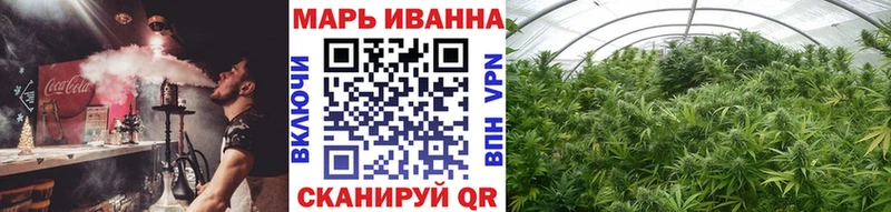 Бошки Шишки планчик  Саки 